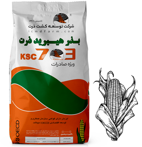 بذر ذرت 703