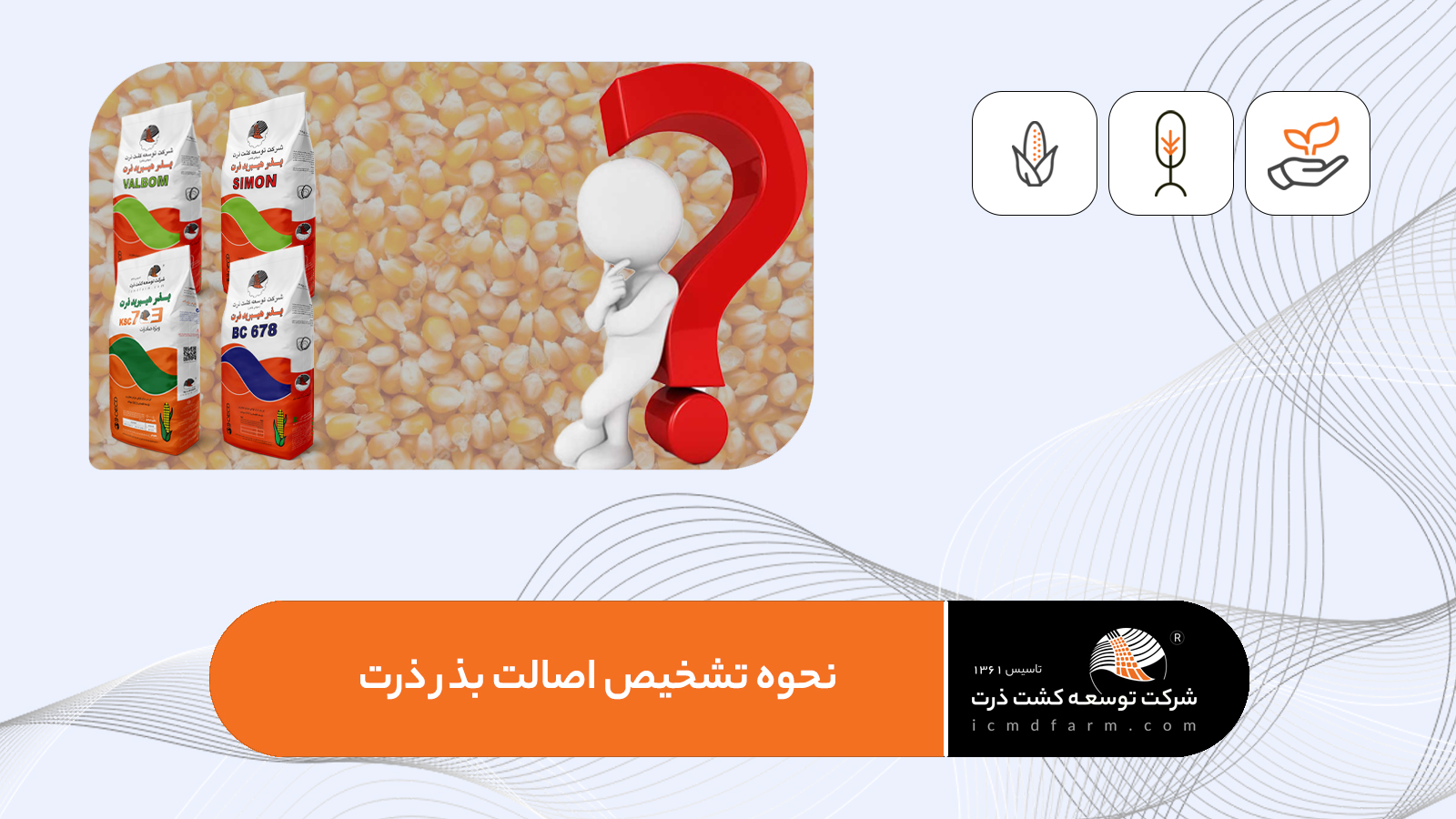 تشخیص اصالت بذرهای شرکت توسعه کشت ذرت