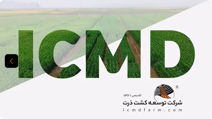 کارگروه سایت
