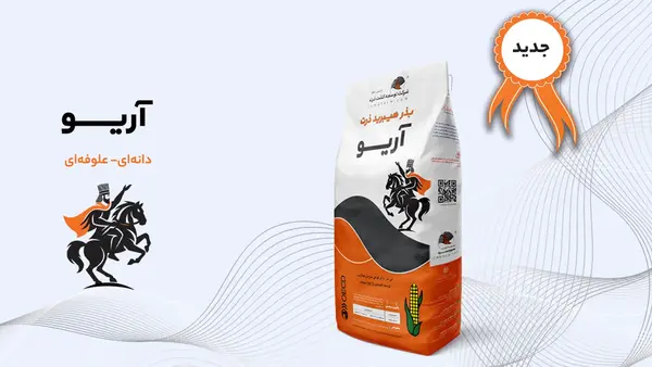 بذر ذرت رقم آریو