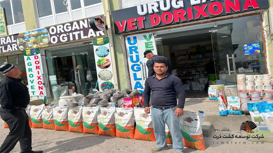 صادرات بذر ذرت رقم KSC 703 به ازبکستان