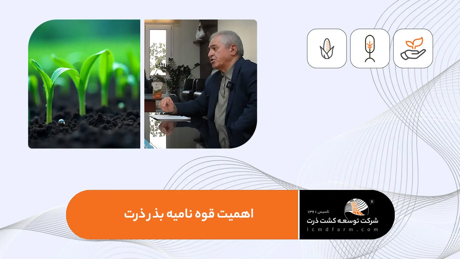 قوه نامیه بذر ذرت چیست؟