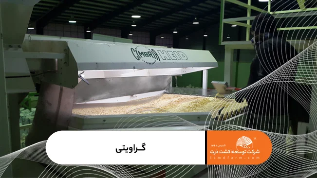 کارخانه فرآوری بذر شرکت توسعه کشت ذرت_ دستگاه گراویتی