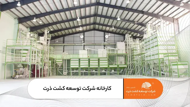 کارخانه فرآوری بذر شرکت توسعه کشت ذرت