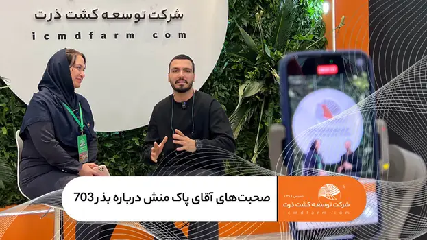 بذر ذرت با کیفیت