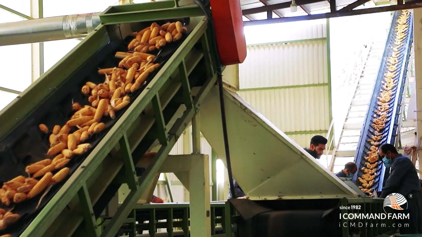 seed factory