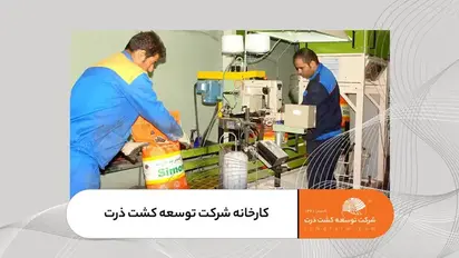 کارخانه فرآوری بذر شرکت توسعه کشت ذرت