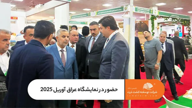 حضور شرکت توسعه کشت ذرت در نمایشگاه تولیدات کشاورزی عراق