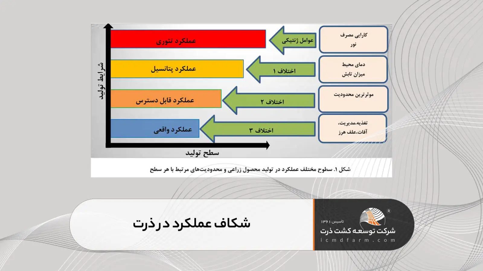 شکاف عملکرد در ذرت