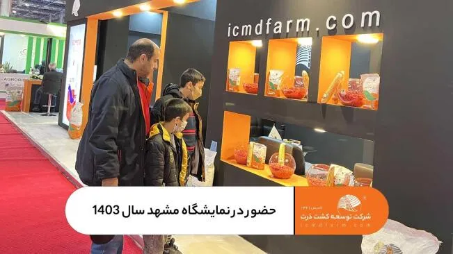 حضور شرکت توسعه کشت ذرت در نمایشگاه کشاورزی مشهد