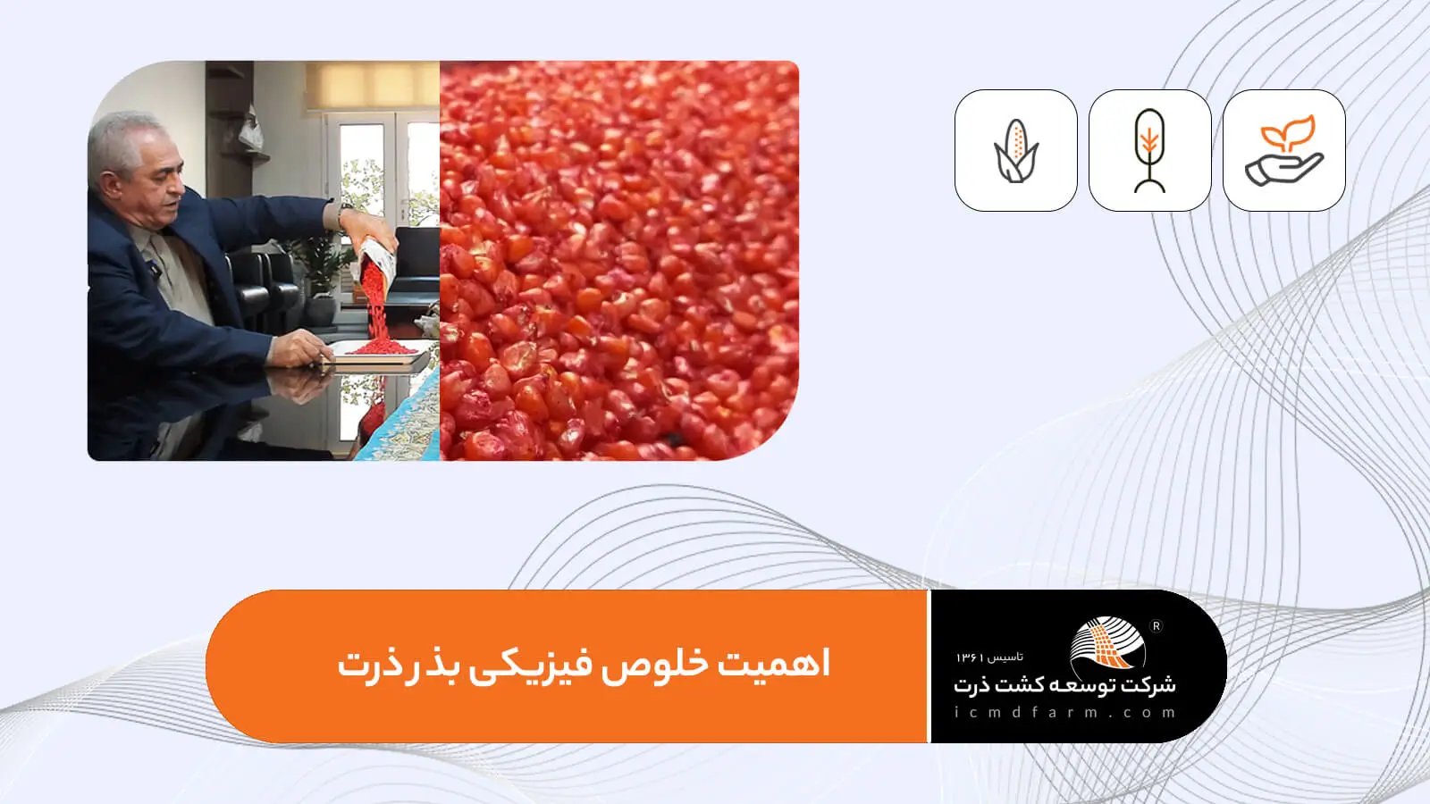 خلوص فیزیکی بذر ذرت هیبرید