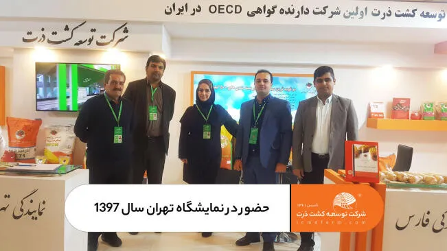 حضور شرکت توسعه کشت ذرت در نمایشگاه کشاورزی