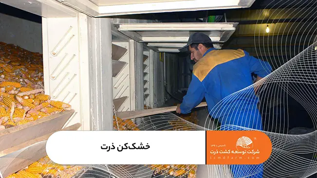 خشک کن ذرت