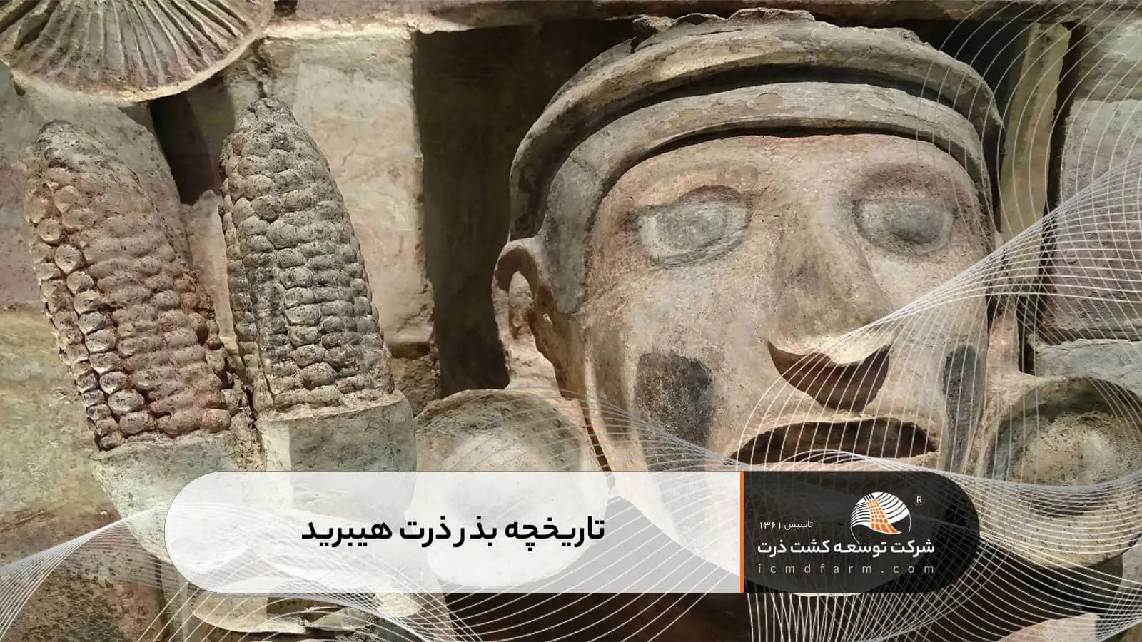 تاریخچه بذر ذرت هیبرید