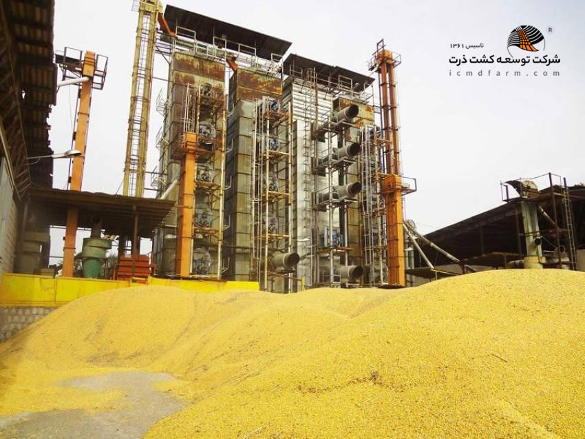 کارخانه  شرکت توسعه کشت ذرت