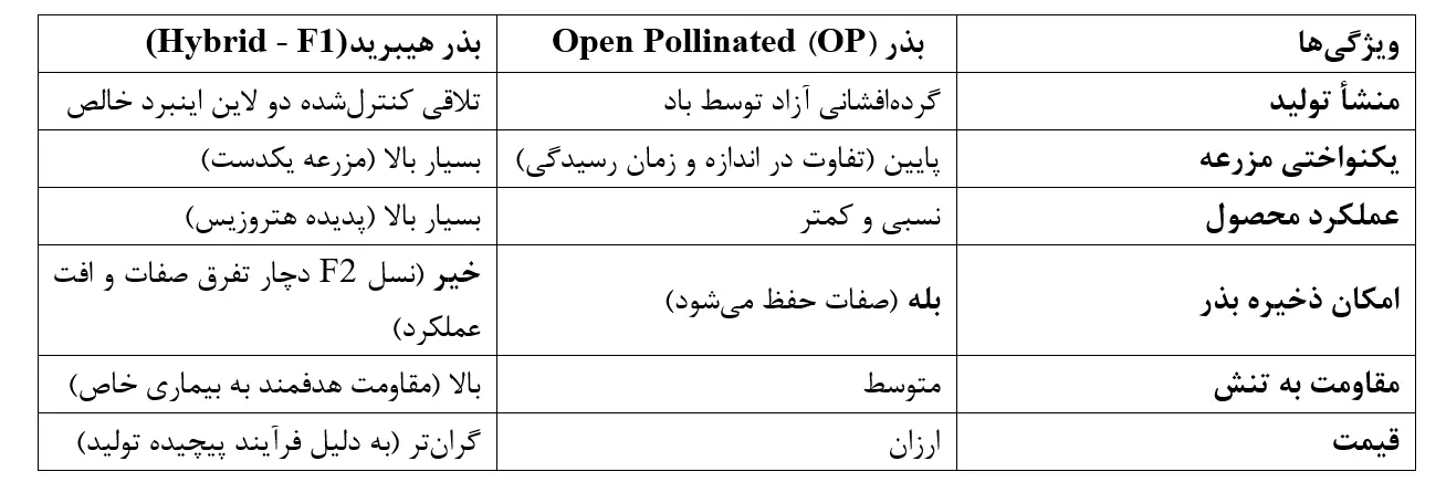 تفاوت بذر آزادگرده افشان با بذر هیبرید
