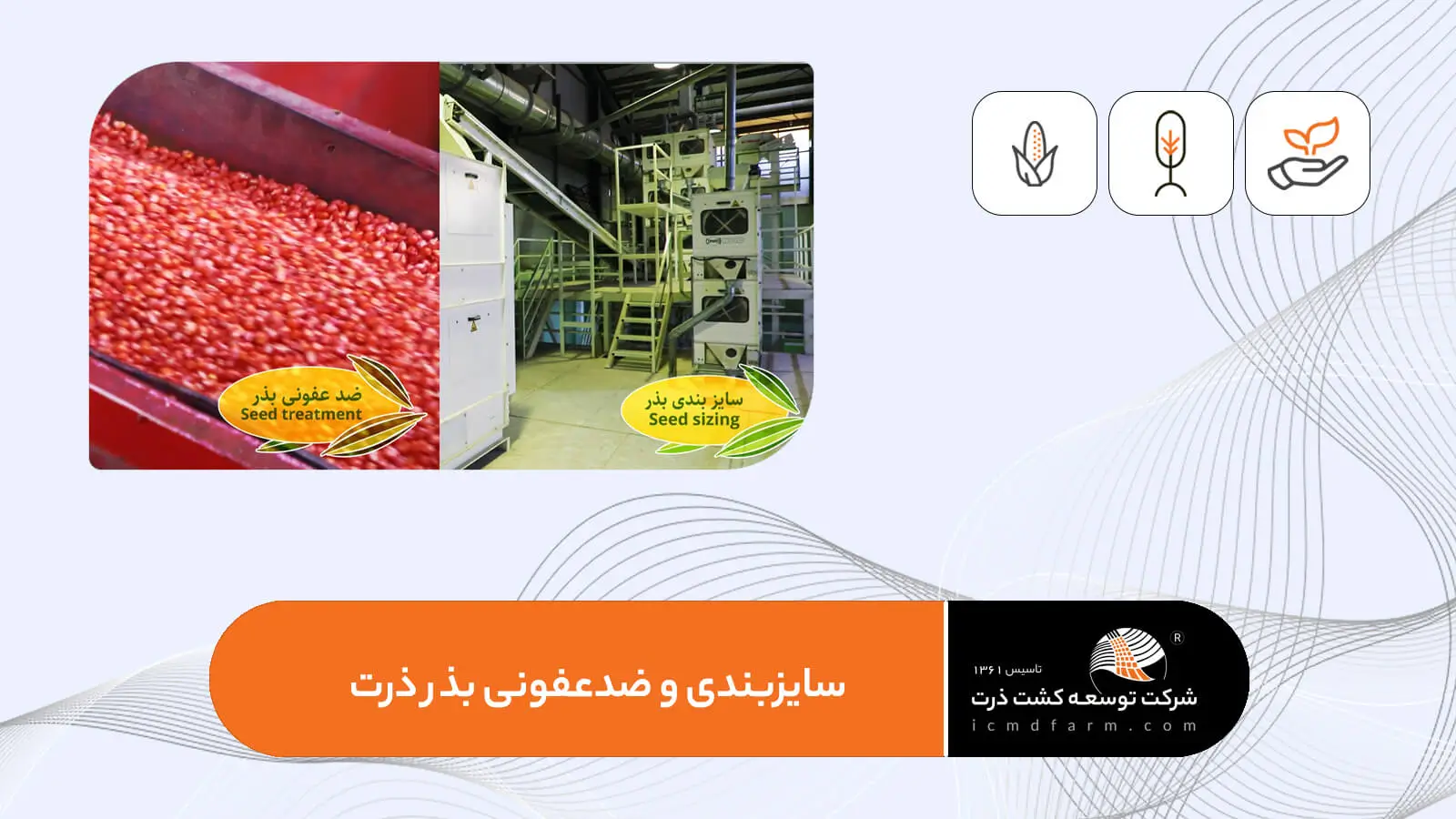 سایزبندی و ضدعفونی بذر ذرت