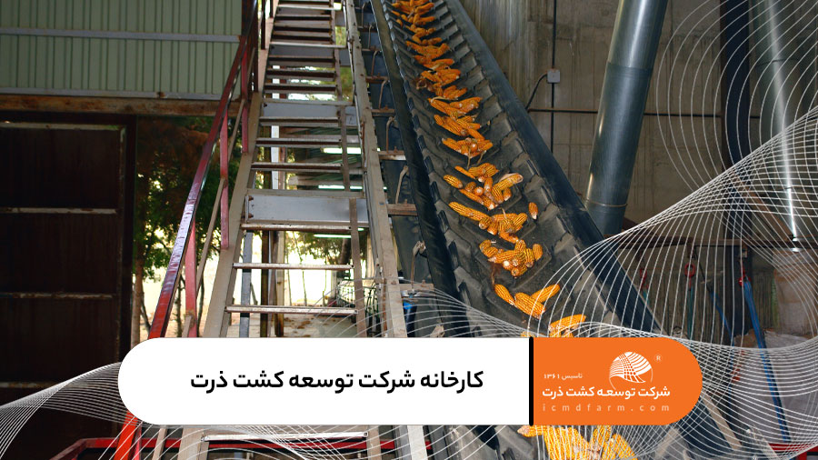 کارخانه شرکت توسعه کشت ذرت
