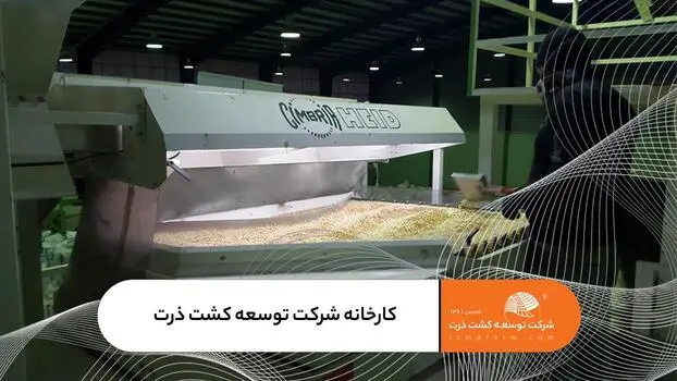 کارخانه شرکت توسعه کشت ذرت