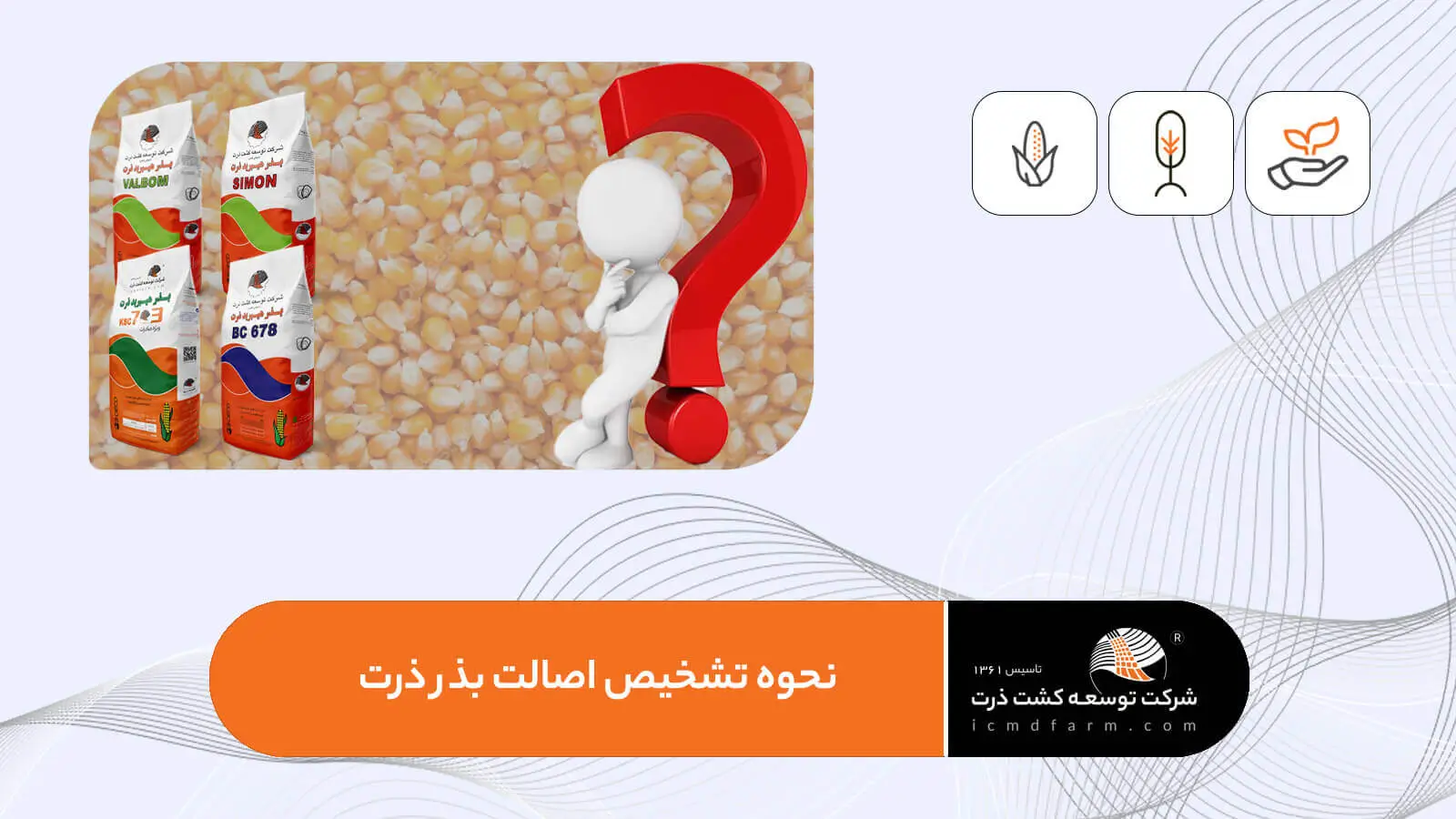 چگونه از اصالت بذرهای شرکت توسعه کشت ذرت اطمینان حاصل کنیم؟