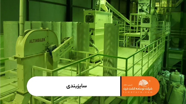 سایزبندی بذر