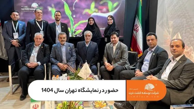 شرکت توسعه کشت ذرت در نمایشگاه بین المللی کشاورزی 1404-غرفه محصولات