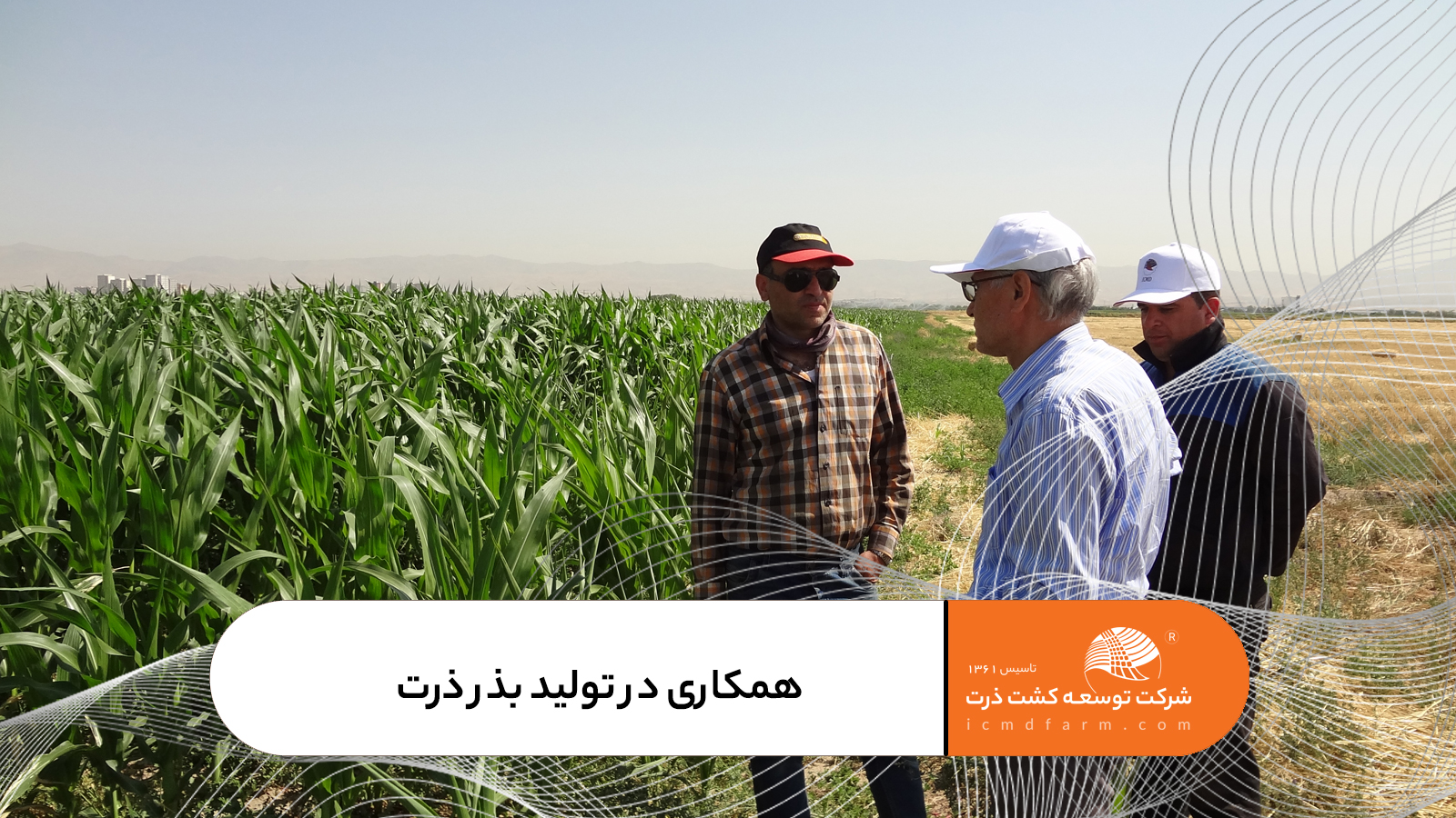 دعوت به همکاری در تولید بذر ذرت