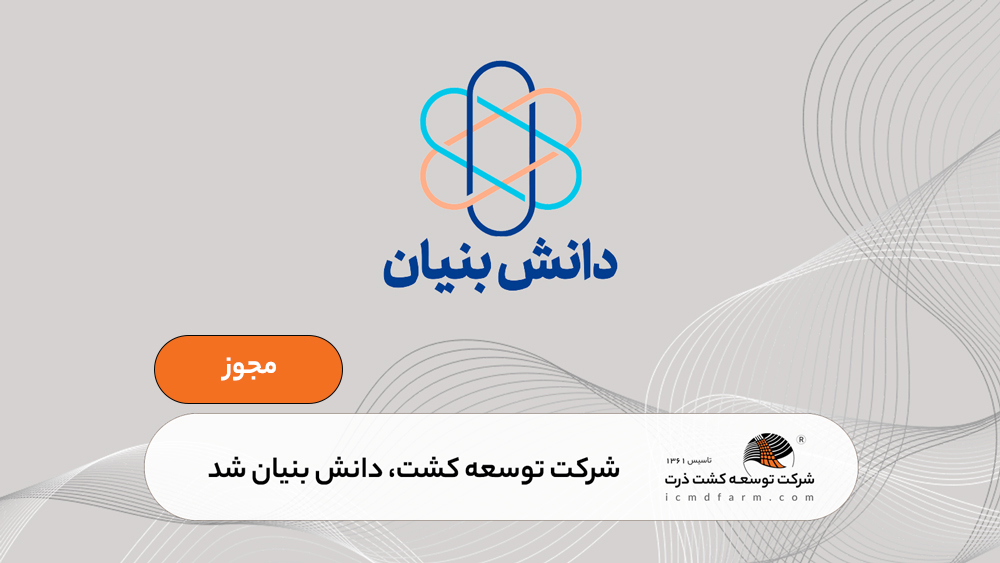 دانش بنیان