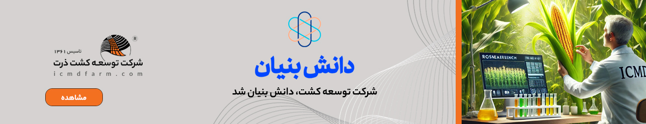 دانش بنیان