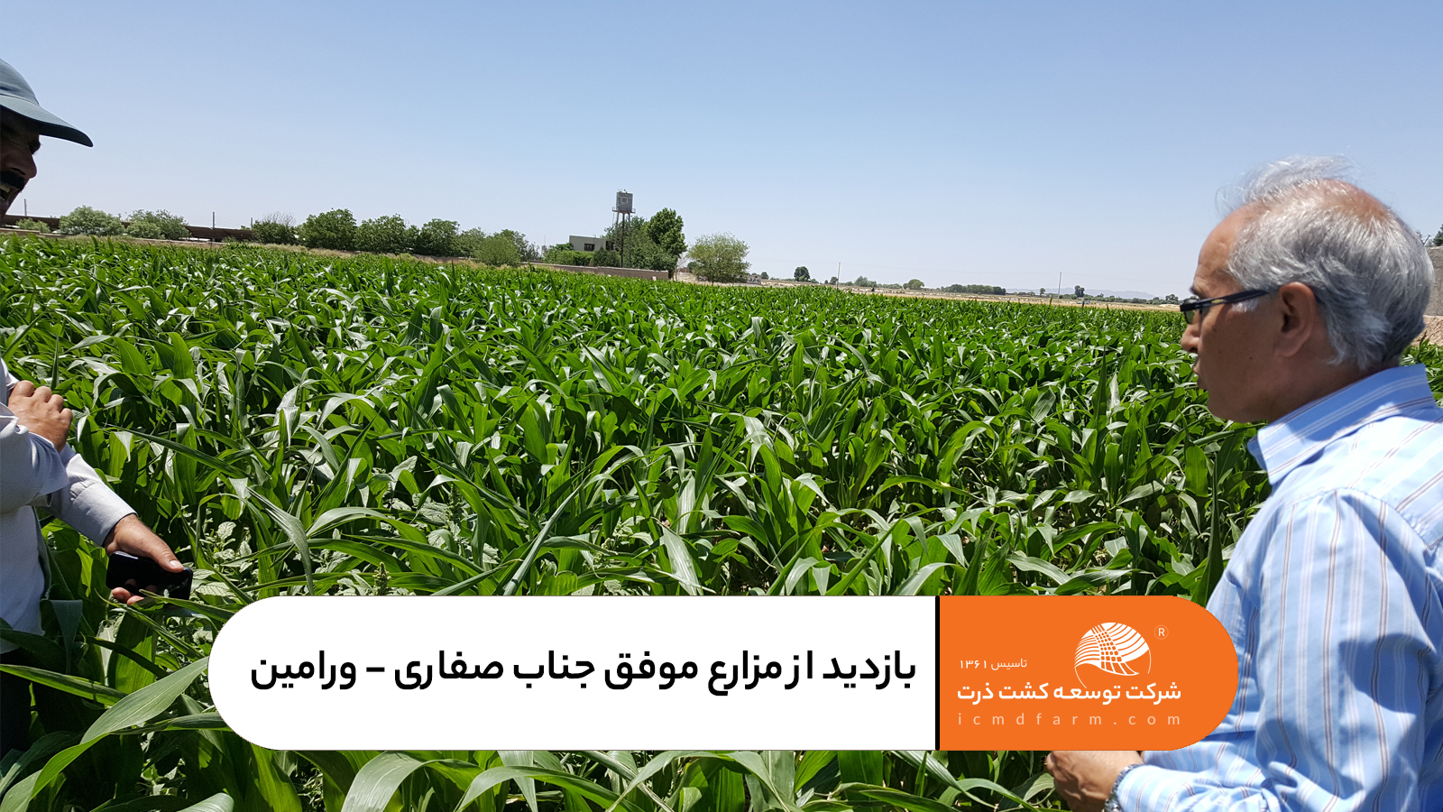 بازدید از مزارع کشت و صنعت صفاری