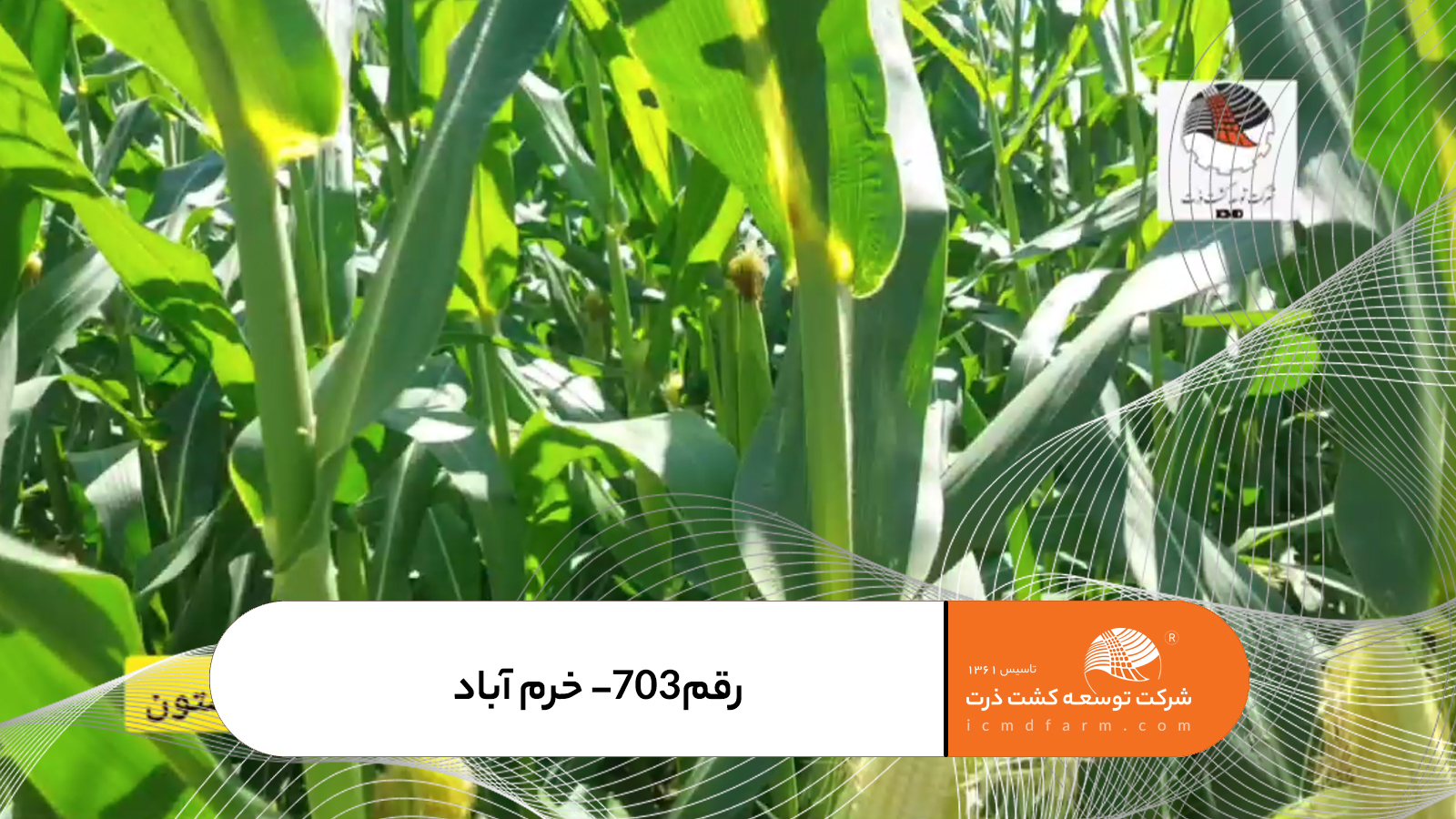 رقم703- منطقه بیستون