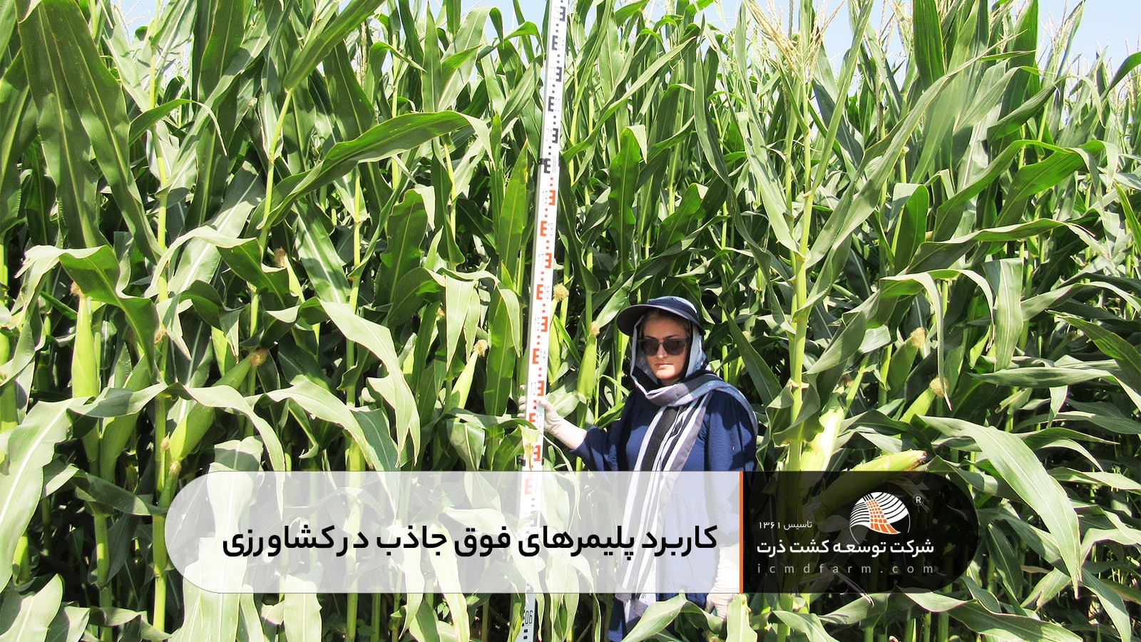 کاربرد پلیمرهای فوق جاذب در کشاورزی