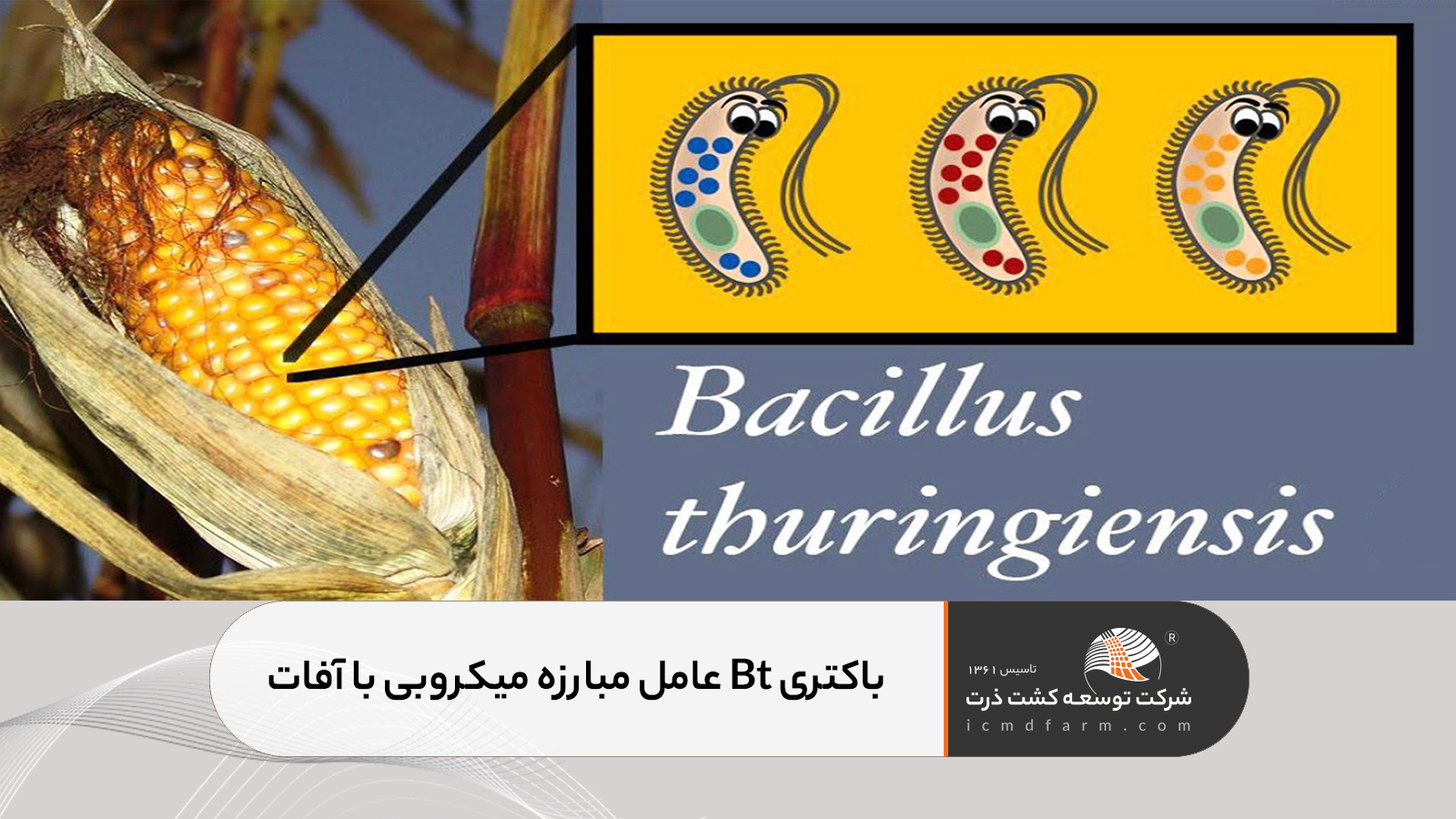مبارزه میکروبی با آفات
