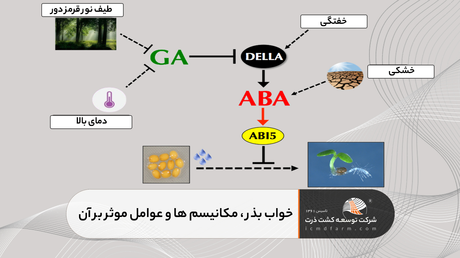 مروری بر خواب بذر و مکانیسم ها وعوامل موثر بر آن