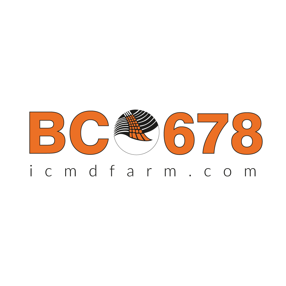 رقم بذر ذرت BC678