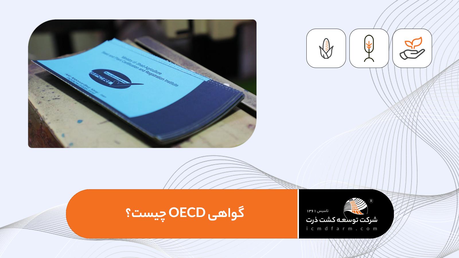 با گواهی OECD آشنا شوید؛ چرا این گواهی در تجارت بینالملل اهمیت دارد؟