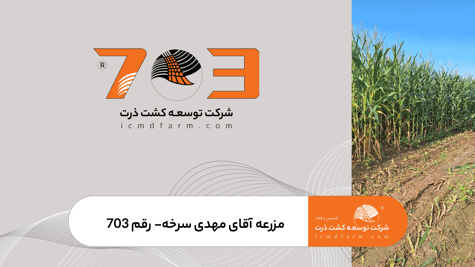 مزرعه آقای مهدی سرخه