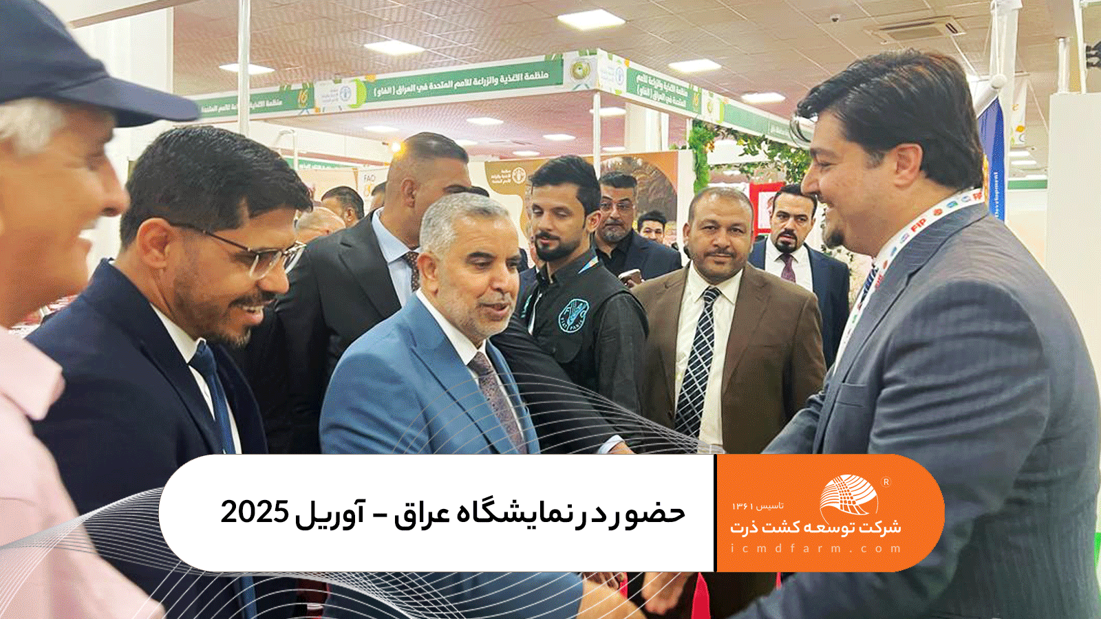 نمونه کارها