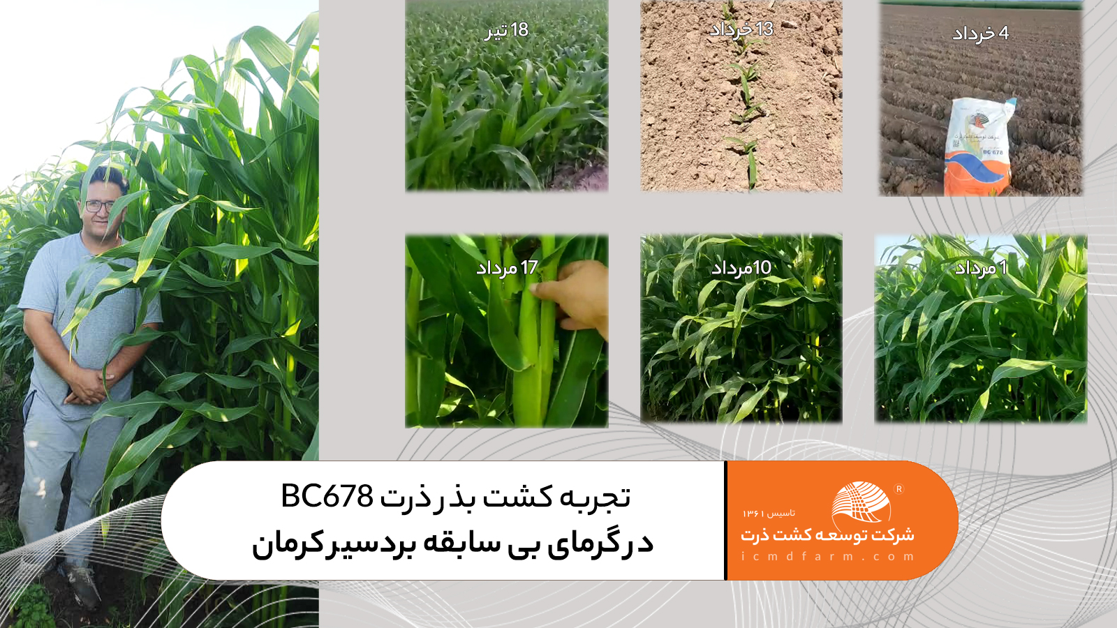 تجربه آقای حیدرآبادی از کشت بذر ذرت BC678 در گرمای بی سابقه بردسیر کرمان