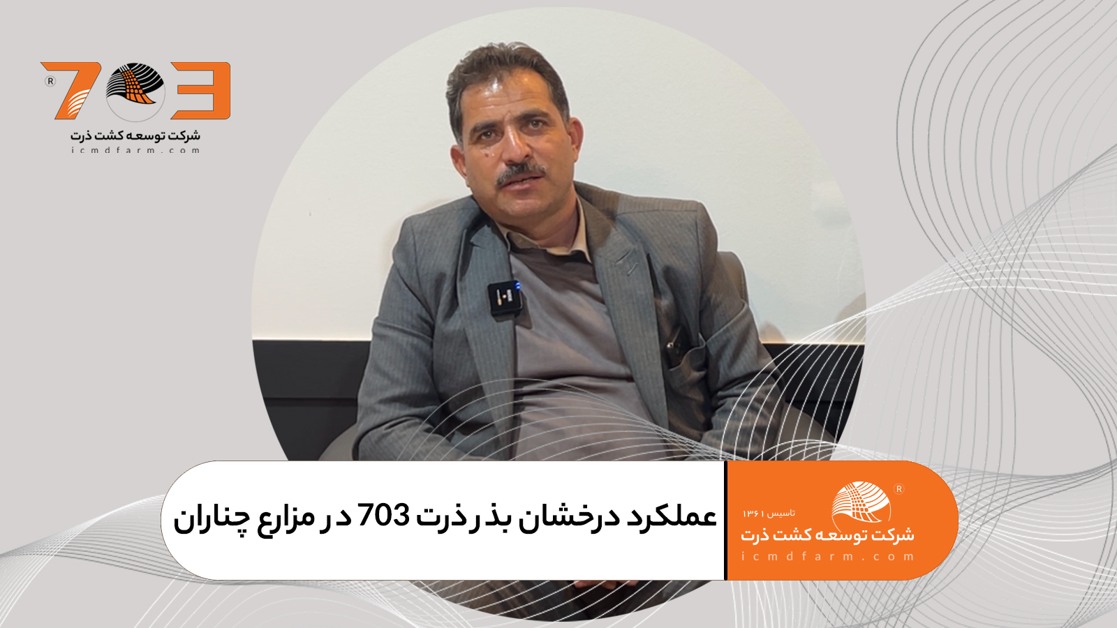 عملکرد درخشان بذر ذرت 703 در مزارع چناران؛ انتخاب اول کشاورزان پیشرو