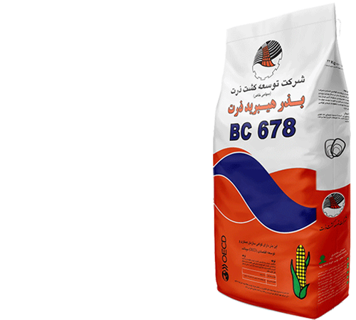 بذر ذرت BC678