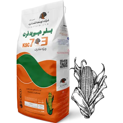 بذر ذرت هیبرید رقم KSC 703