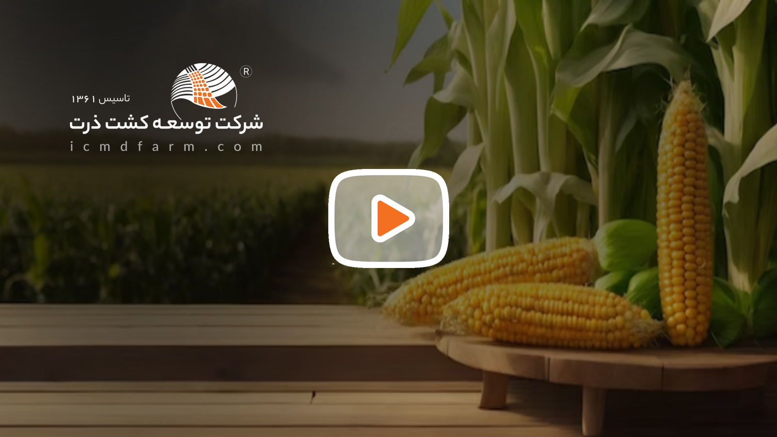بذر ذرت رقم VALBOM